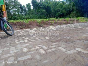 Promo Tanah Kavling Murah Kedungrejo Pakis Dkt Exit Tol Madyopuro