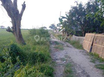 5269us Tanah di Pontang, Serang, Banten SHM 