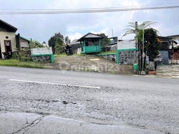 Tanah Istimewa Dekat Candi Sukuh Karanganyar