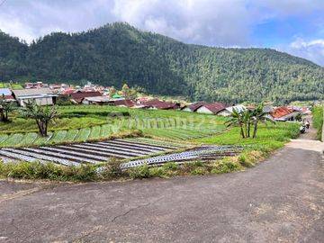 Tanah 206m² Gondosuli Tawangmangu Karanganyar