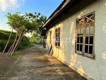 Dijual Rumah Asri Tengah Sawah Kedawung Sragen