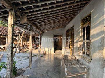 Dijual Rumah Asri Tengah Sawah Kedawung Sragen