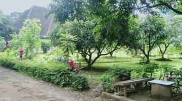 Tanah Murah di Mainroad Dago