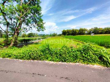 Tanah Margouwih Sayegan Sleman