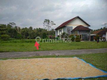 JUAL TANAH BOROBUDUR