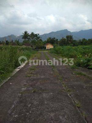 JUAL TANAH BOROBUDUR