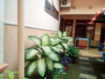 Rumah Dan Toko Dekat Lapas Kuripan 