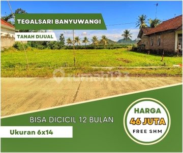 Tanah di banyuwangi area blokagung 40 juta bisa dicicil