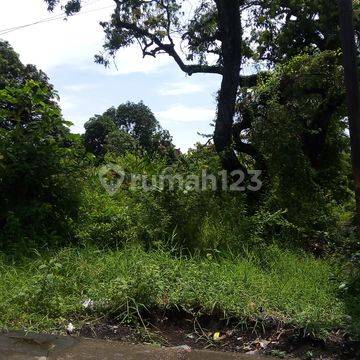 Tanah Dijual Samping Jalan Raya Kraton 1600 m² SHM