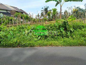 Tanah Jual Lokasi Tegallalang