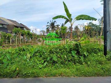 Tanah Jual Lokasi Tegallalang