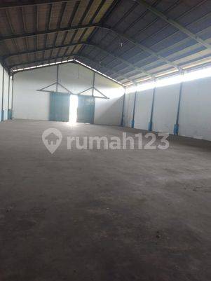 Gudang Multifungsi Jalan Raya Serang Jakarta Walantaka