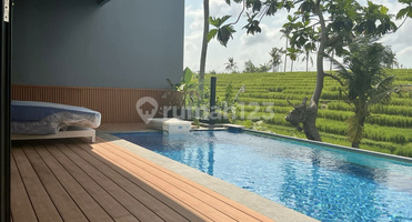 Best Ricefields View Villa Canggu With Infinity Pool