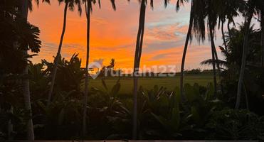 Jual Cepat! Beautiful Villa With River, Ricefield, And Sunset View In Pantai Purnama, Sukawati, Gianyar