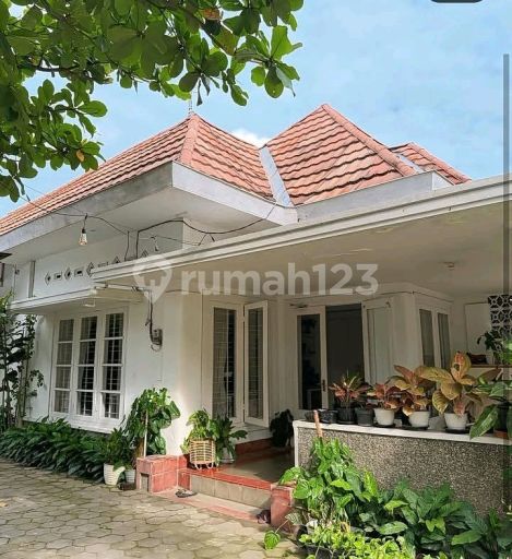 pulung agent property 