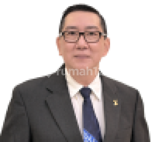 Tan Boen Ling