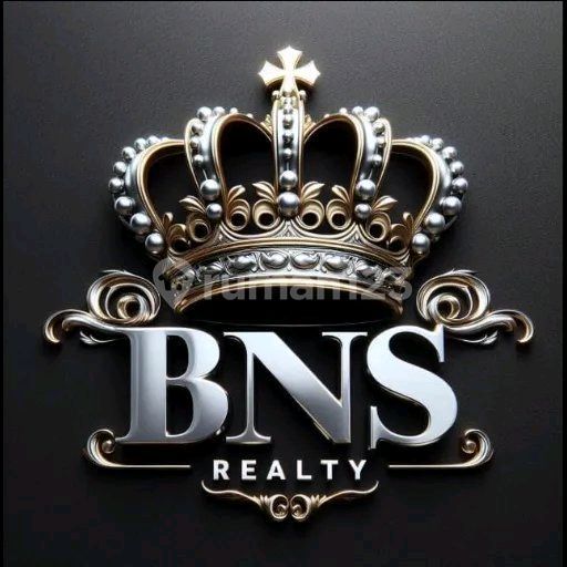 BNS REALTY12 