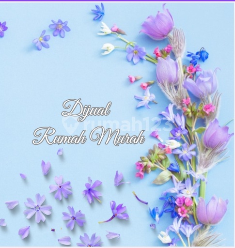 Dwi Nita puspita sari