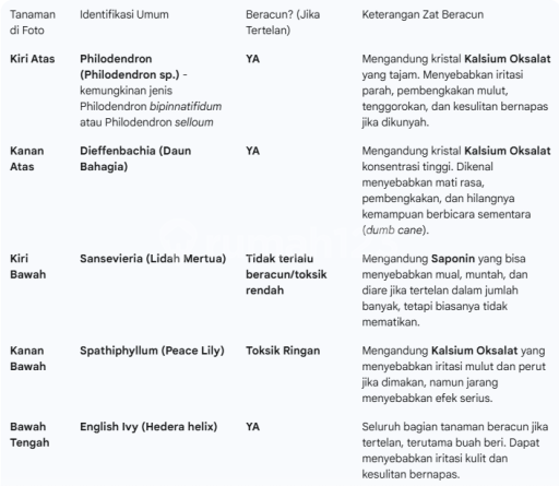 Picture Teras123 622