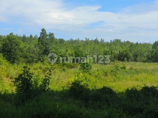 Picture Teras123 365