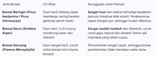 Picture Teras123 279