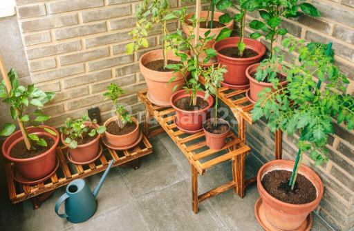 Picture Teras123 349