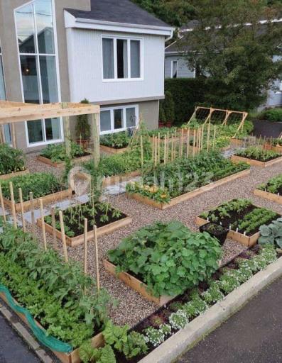 Picture Teras123 782