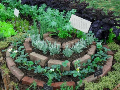 Picture Teras123 614