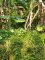Agen Ine HD Property Photo
