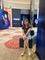 Agen Abigail Phoa Photo