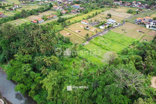 Tanah Kawasan Villa View Sawah Dan Sungai Di Ubud Gianyar Bali Oleh