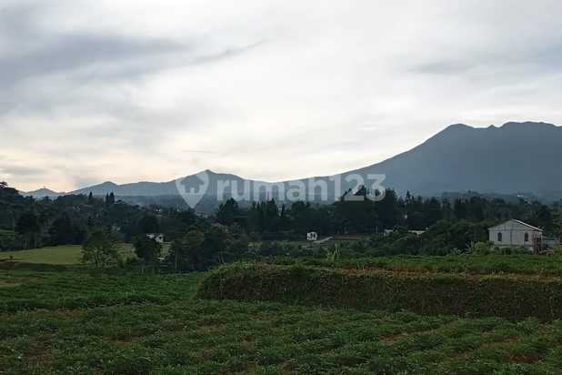 Tanah Murah Megamendung Puncak Bogor Sudah Shm