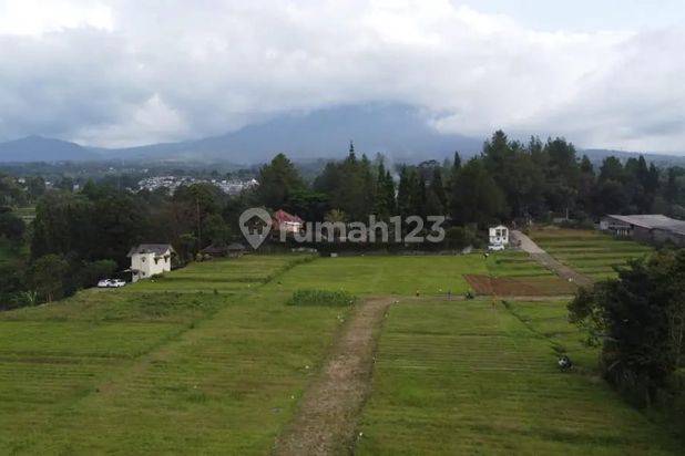 Tanah Murah Megamendung Puncak Bogor Sudah Shm