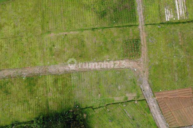 Tanah Murah Megamendung Puncak Bogor Sudah Shm