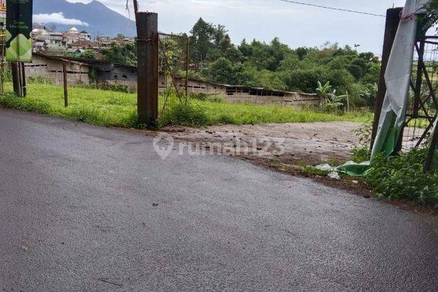 Tanah Murah Megamendung Puncak Bogor Sudah Shm
