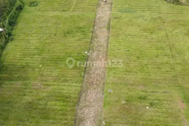 Tanah di jual 300 SHM m² megamendung Bogor