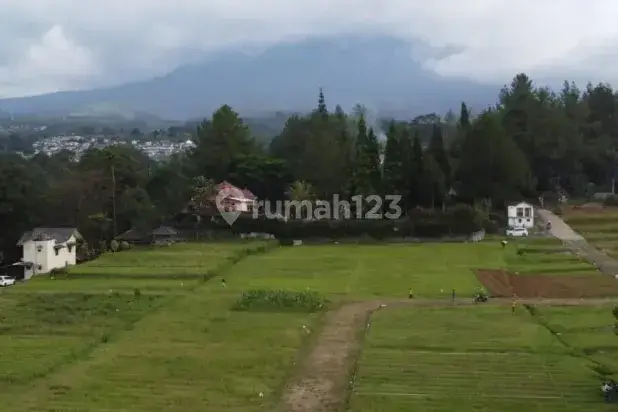 Tanah di jual 300 SHM m² megamendung Bogor