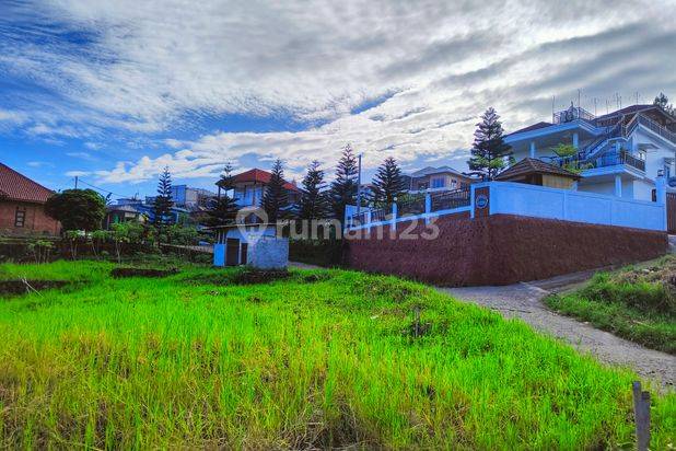 Tanah 800 SHM m² megamendung puncak