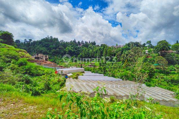 Tanah 800 SHM m² megamendung puncak