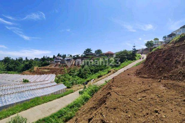 Tanah 800 SHM m² megamendung puncak