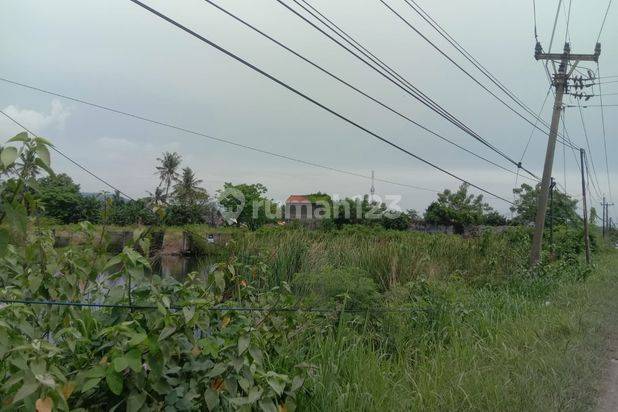 Tanah Jalan Raya Bojonegara Dekat Kawasan Industri