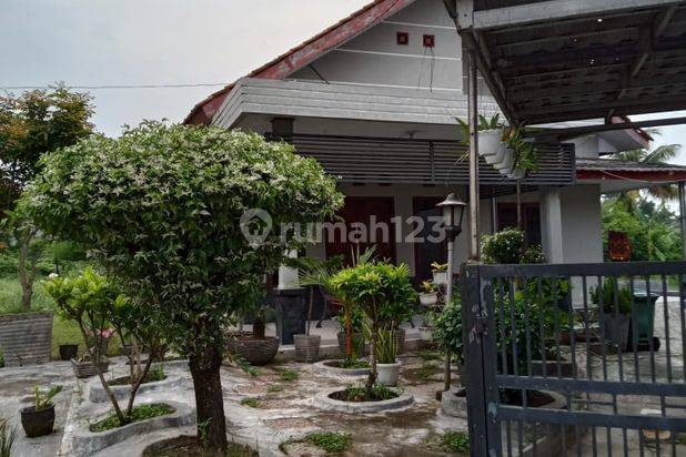 Tanah Plus Hunian 1 Lantai Penancangan Serang Timur Bisa Sewa
