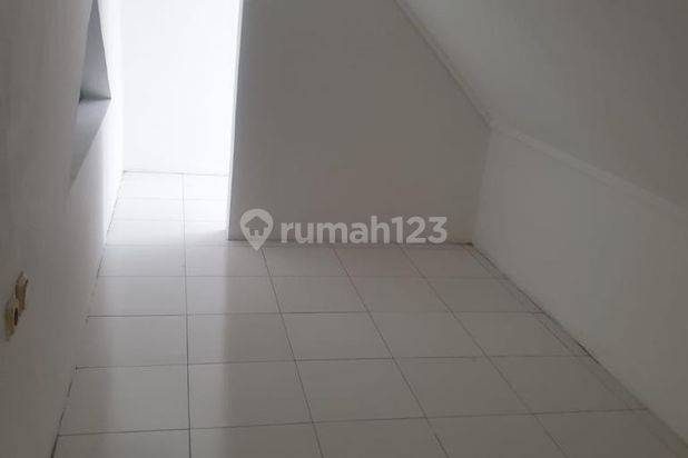 Rumah  Elang Laut Pik