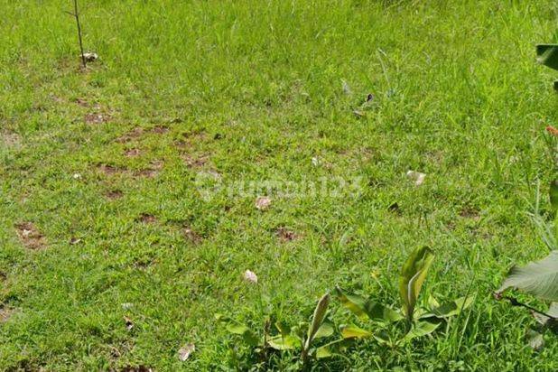 Disewakan Cepat Tanah Strategis area Ampera