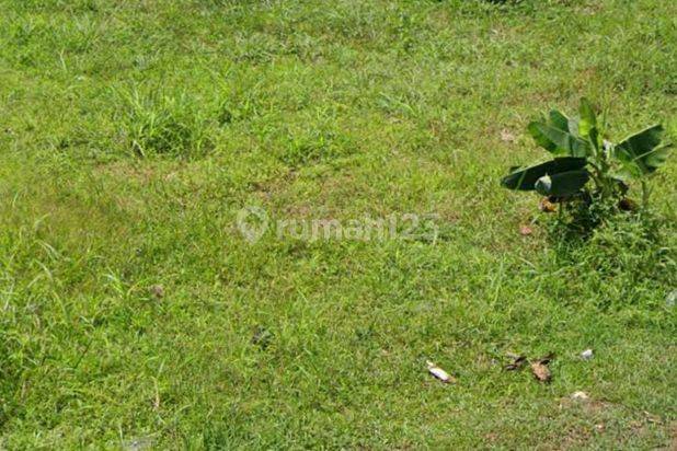 Disewakan Cepat Tanah Strategis area Ampera