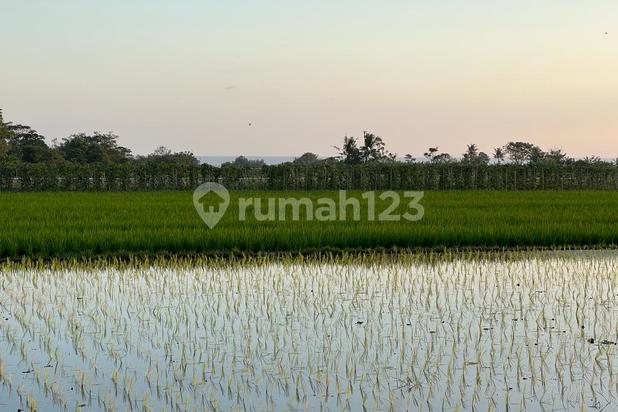 Jual Tanah View Gunung