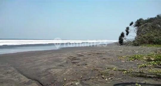 Jual Tanah Elang Laut