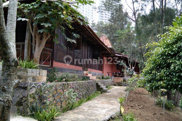 Hitung Tanah Saja Bonus Rumah Joglo Umur Tahun Oleh Yunike