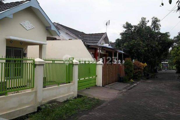 Rumah Murah Minimalis Siap Huni Di Perum Puskopad Arjowinangun MALANG

Lokasi Strategis : 

Dekat Pintu Tol Madyopuro

Dekat Bandara Abd Saleh

Dekat Kantor Terpadu

Dekat Terminal Gadang

Spesifikasi :

Luas Tanah : 102m²

Luas Bangunan : 45m²

Kamar Tid
