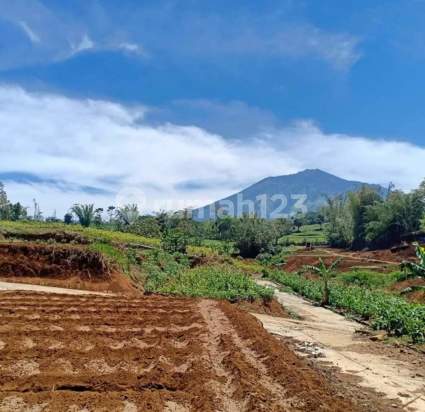 Tanah Siap Bangun di Malang Butuh Uang dekat KEK 